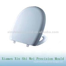 toilet lid with seat mould